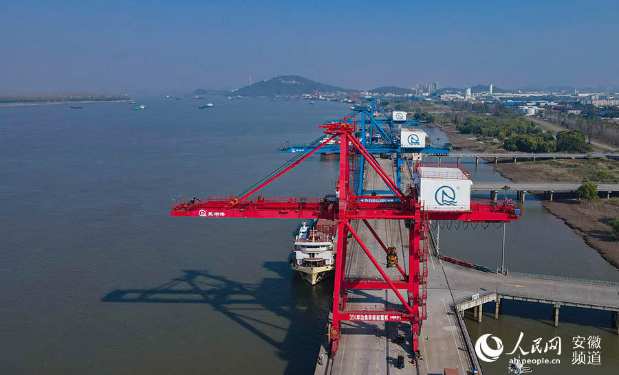 港口多架塔吊正在作业.王晓飞摄