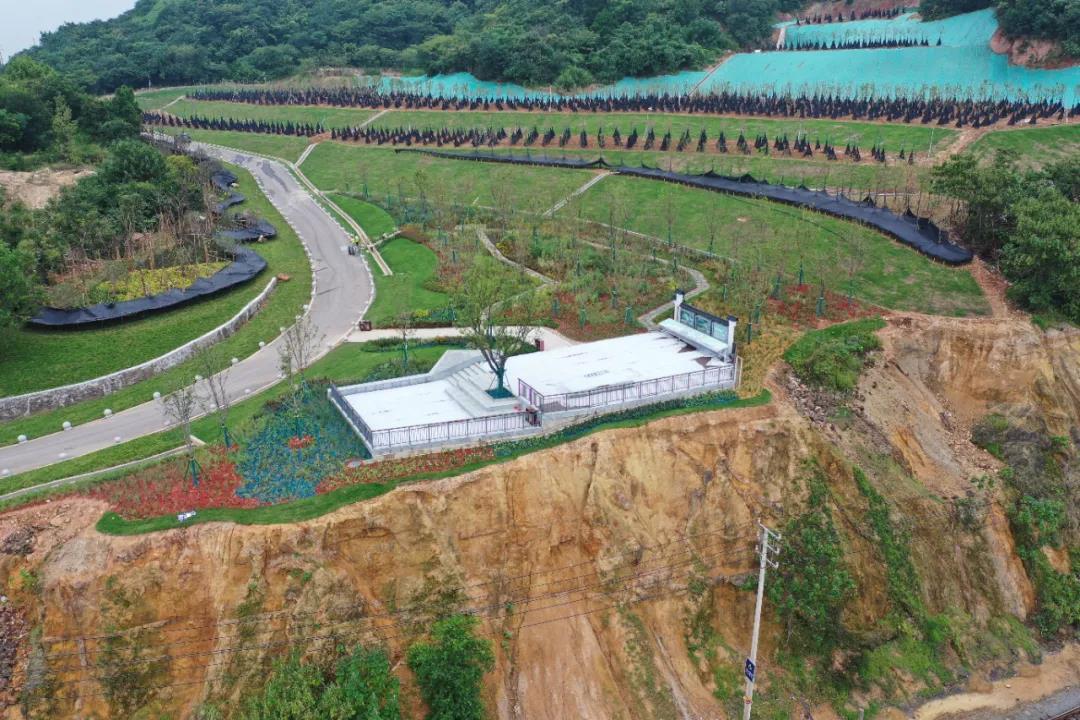 【安徽马鞍山：用绿色行动讲好长江生态故事】-长江经济带