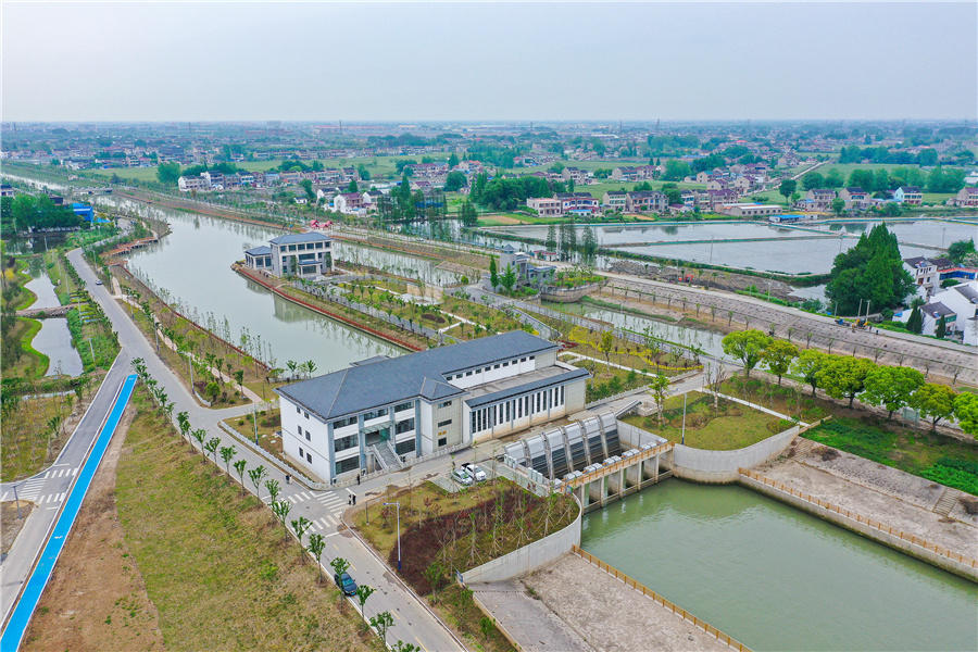 江苏靖江:守护长江,构建"九港水美,百里岸绿"生态格局