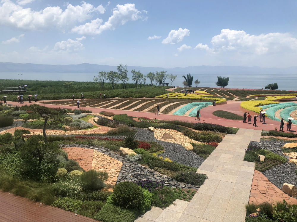 广龙抚海湾湿地公园.邵思跃摄