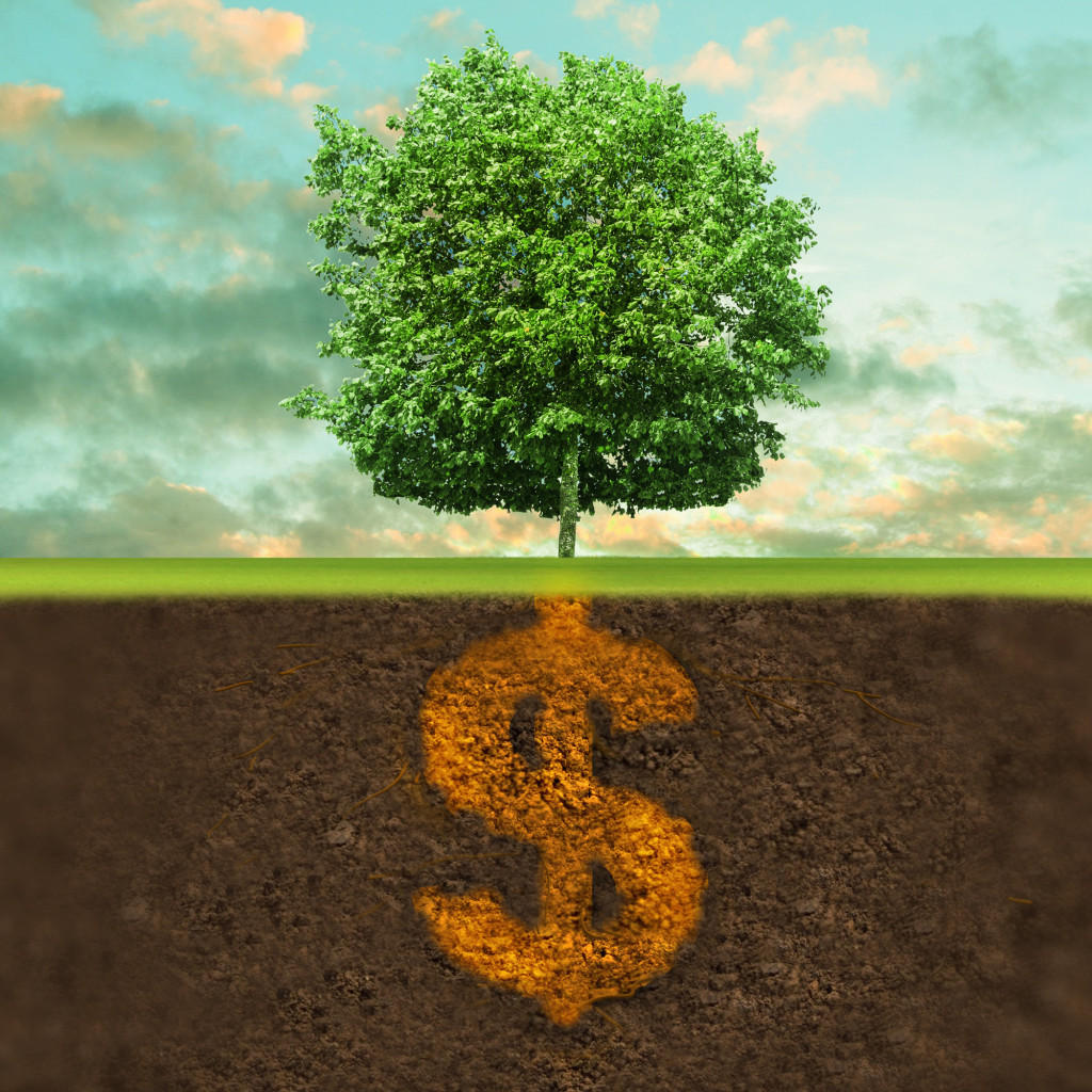 为绿色发展贡献中国智慧——生态产品价值核算在我国的实践与应用